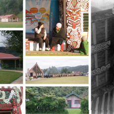 NgÄ HapÅ« o TÅ«hoe